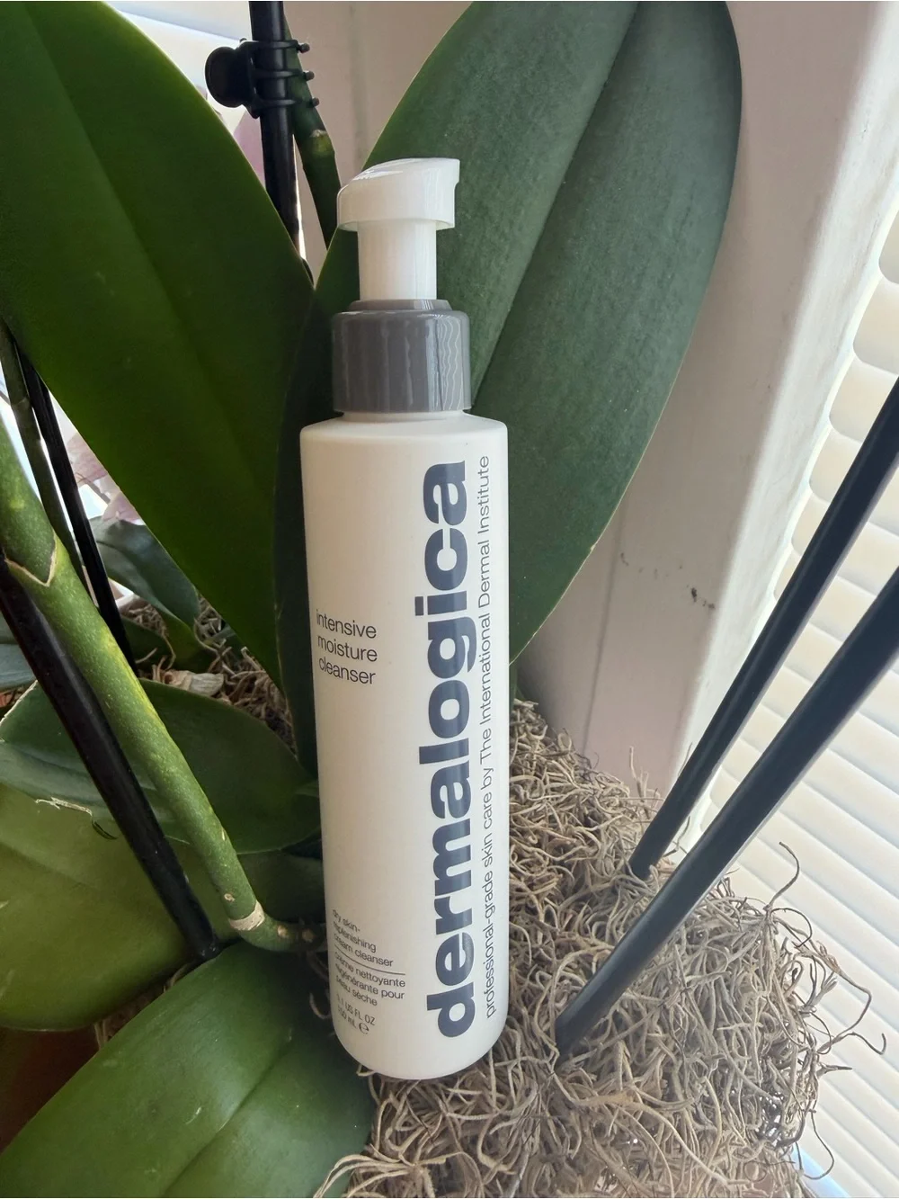 dermalogica Intensive Moisture Cleanser — White & Gray Bottle